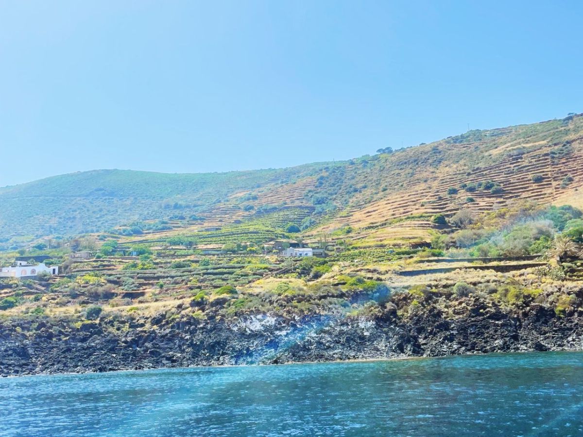 Salvatore Murana, il vignaiolo protettore di&nbsp;Pantelleria