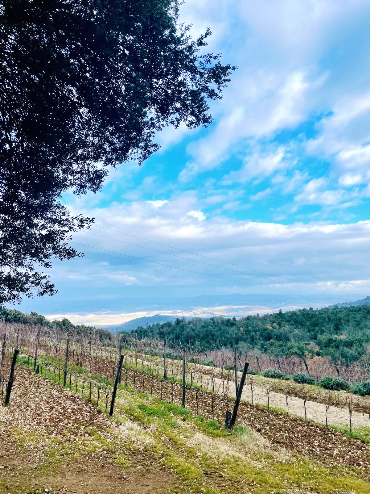 Castello Romitorio: transavanguardia a&nbsp;Montalcino