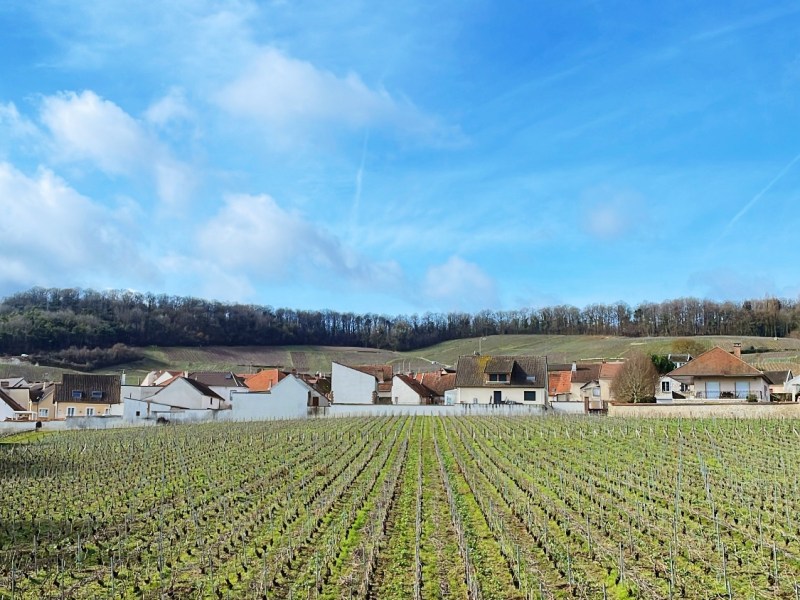 Amsterdam – Reims Last&nbsp;second