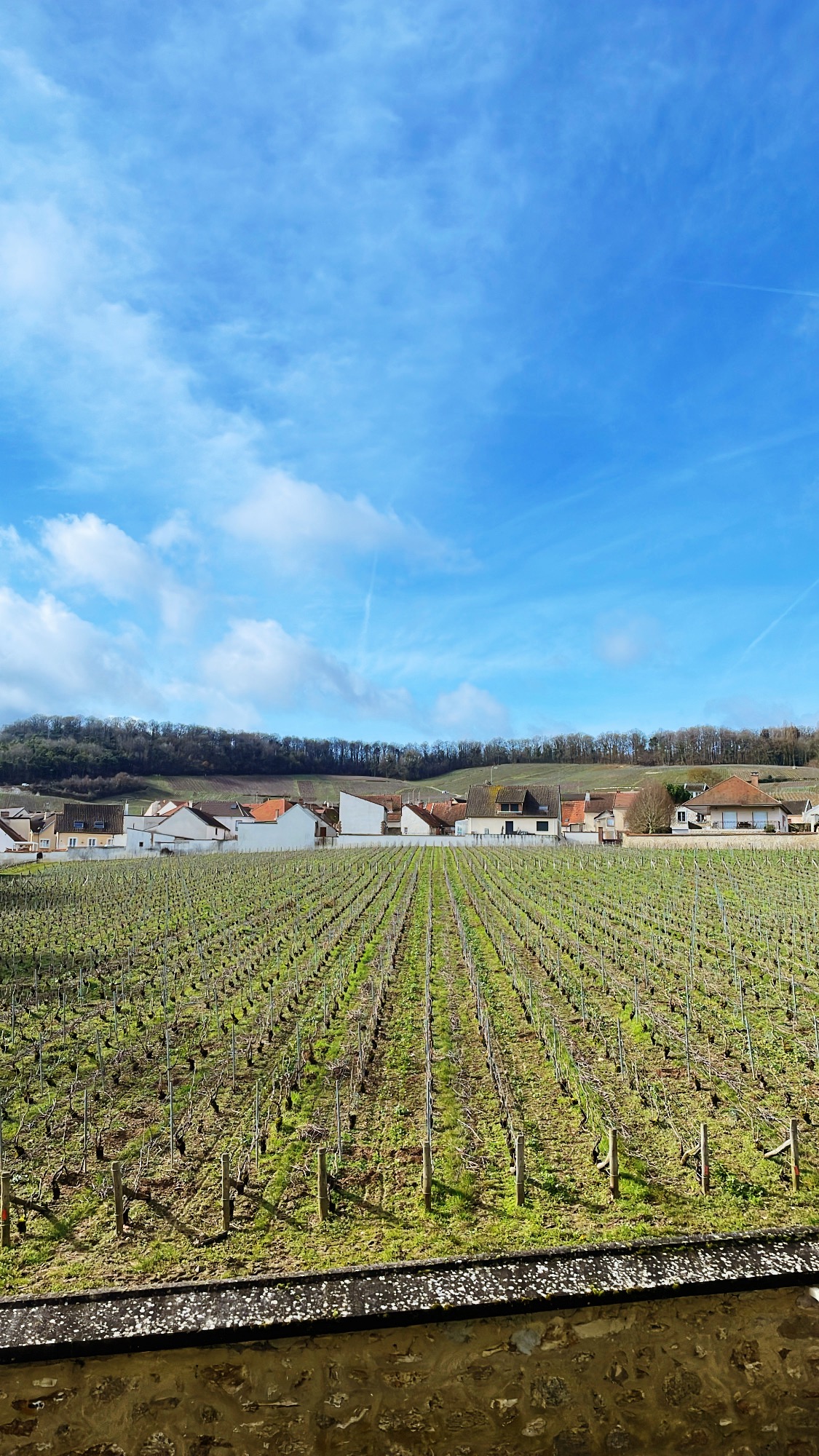 Amsterdam – Reims Last&nbsp;second