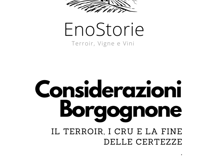 CONSIDERAZIONI BORGOGNONE