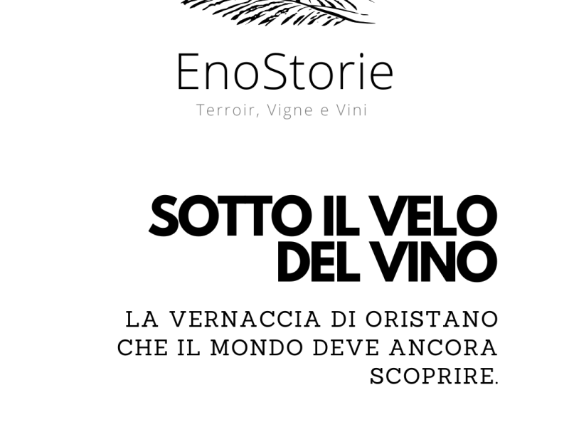 SOTTO IL VELO DEL&nbsp;VINO