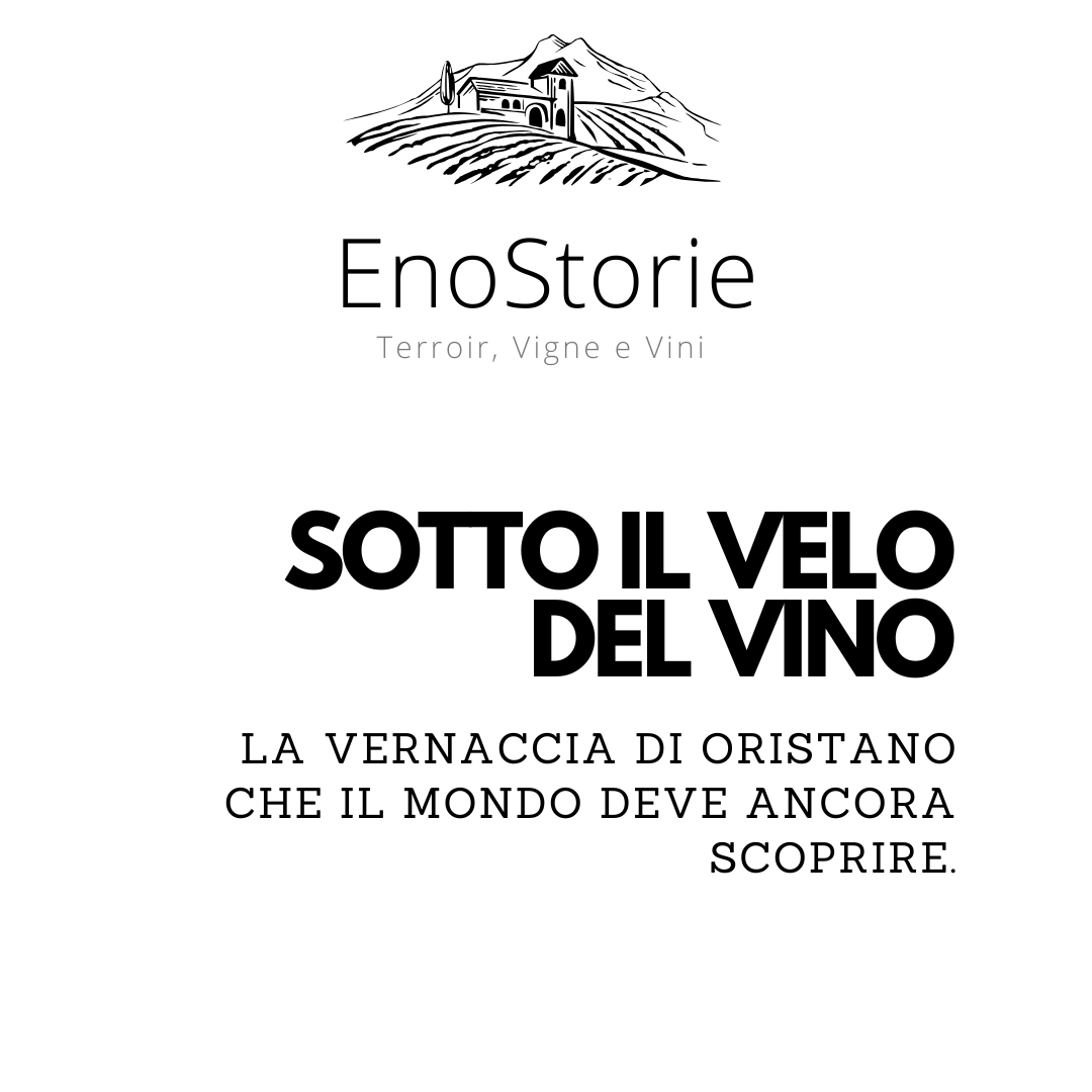 SOTTO IL VELO DEL&nbsp;VINO