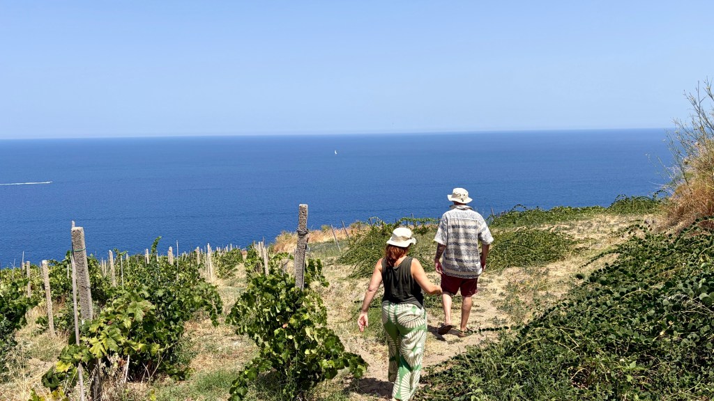 Vigne a picco sul mare e capperi - Malfa