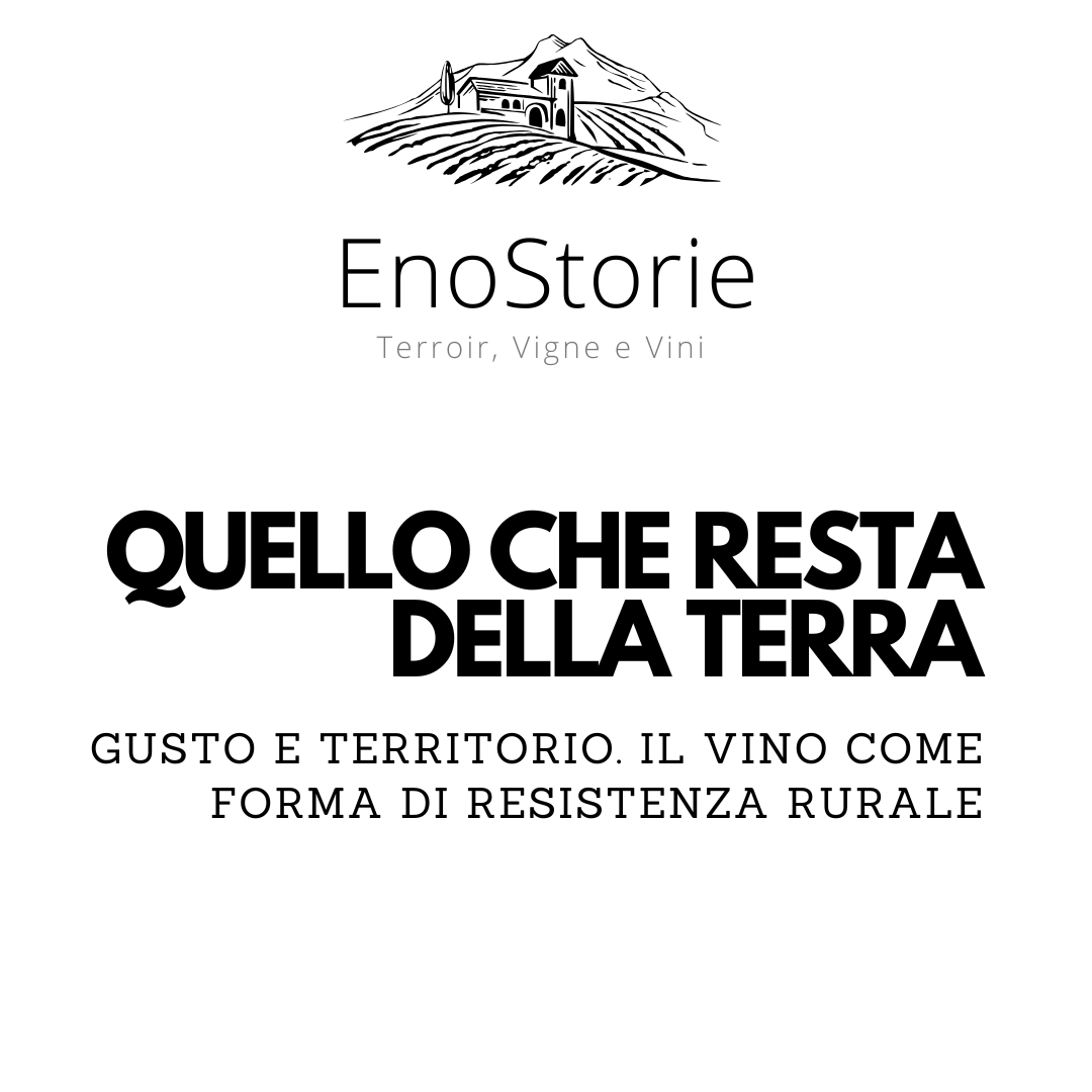 Gusto e territorio. Il vino come relazione tra terra, lavoro, paesaggio e comunità. Una riflessione su ciò che una bottiglia può conservare, trasformare e restituire al luogo da cui proviene.