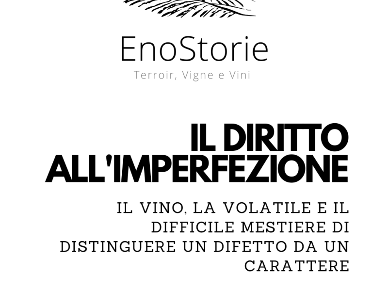 IL DIRITTO ALL’IMPERFEZIONE