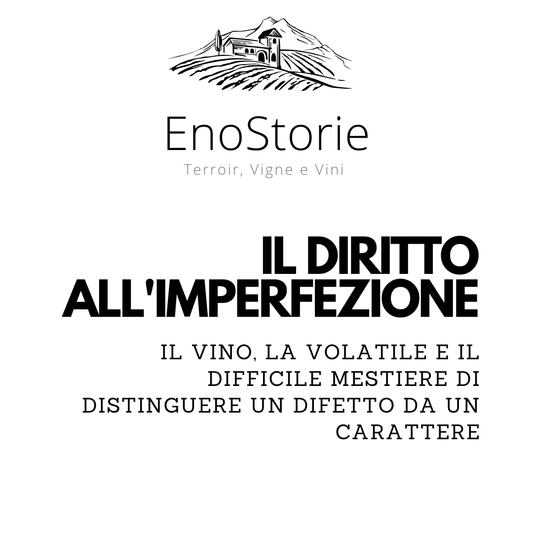 La volatile come difetto, carattere, memoria. Un viaggio tra enologia, grandi vini e quella parte d’imperfezione che il vino si ostina a difendere.